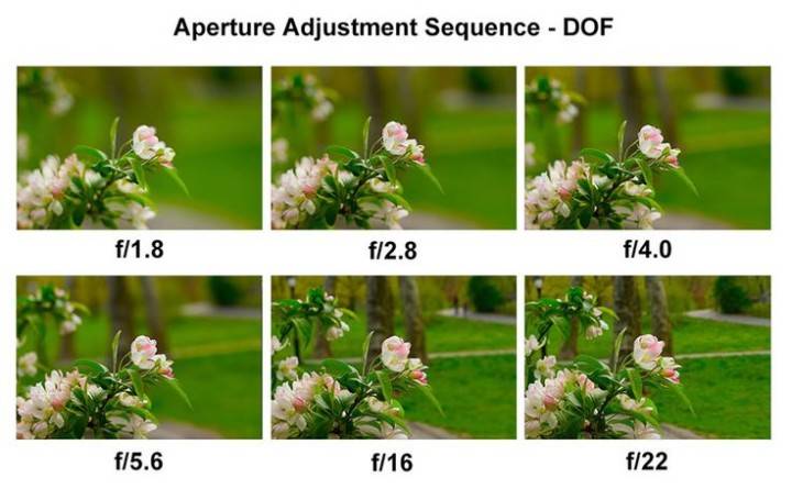 How To Take Photos With Blurred Backgrounds - aperture
