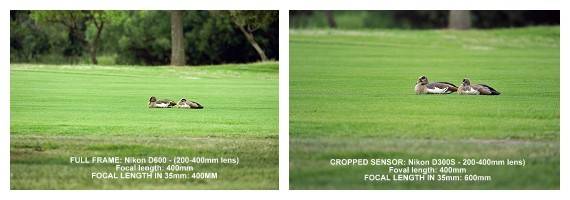 Crop sensor effect on lens and focal length