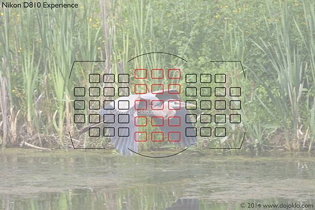Simulated view of the Nikon D810 Viewfinder, with all 51 AF points shown for reference, including the more sensitive cross-type points indicated here in red.