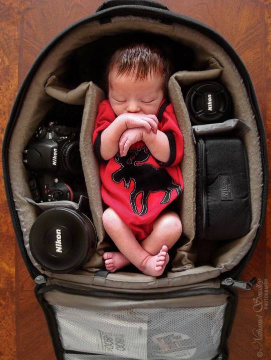photographer baby in bag (2)