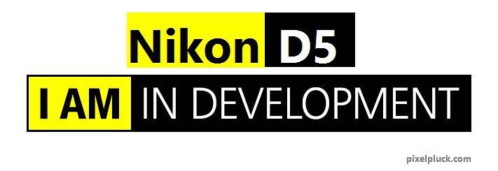 Nikon D5 Coming Soon