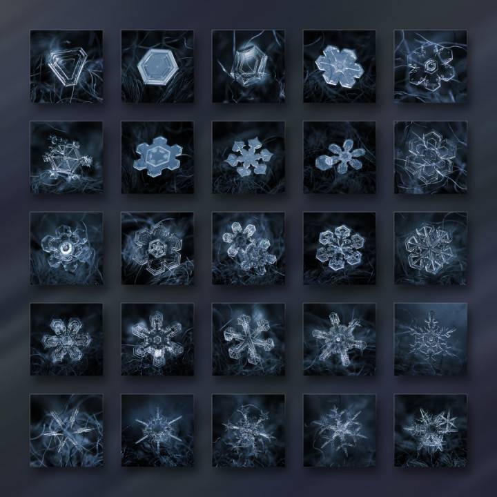 Macro Photographs of Snowflake 