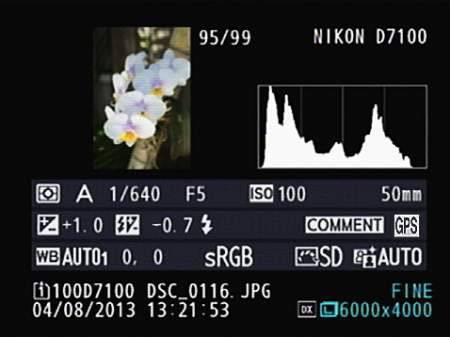 A typical histogram information on Nikon D7100