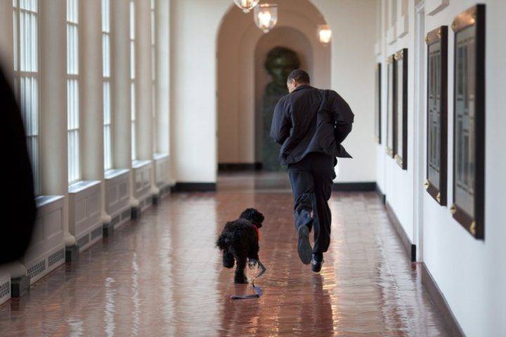March 2009 – Running down the White House’s East Colonnade with Bo, the family dog