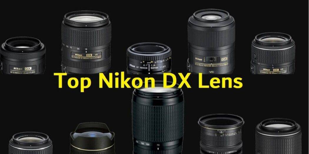 Top Lenses for DX Nikon DSLR Camera