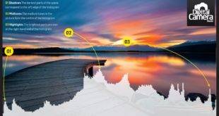 Various Tones in One Photograh