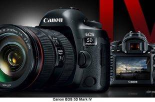 Canon 5D Mark IV review