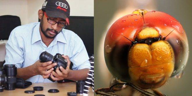 DSLR Tricks for Macro Photography on Budget