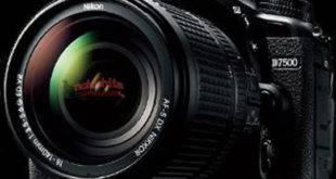 Nikon D7500 release date
