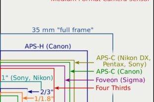 Full Frame vs Crop Sensor Camera Explained