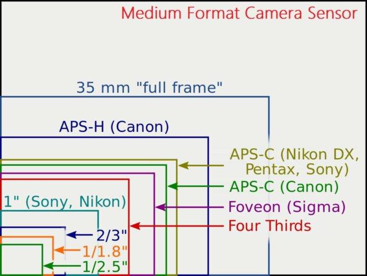Full Frame vs Crop Sensor Camera vs Medium Format vs Four Thirds