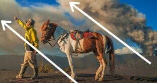 balancing elements in photography