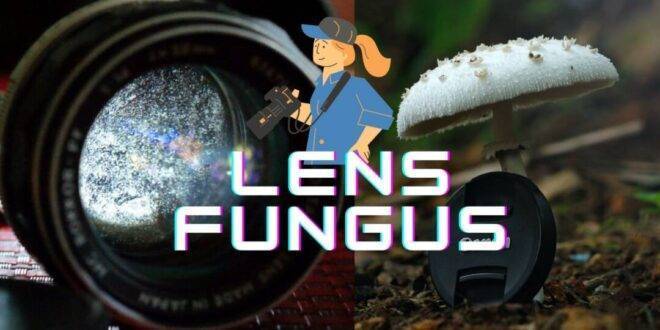 lens fungus removal guide