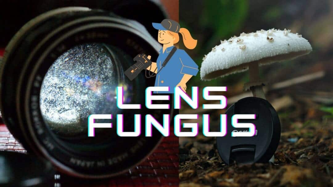 Easy Tips to Remove Lens Fungus